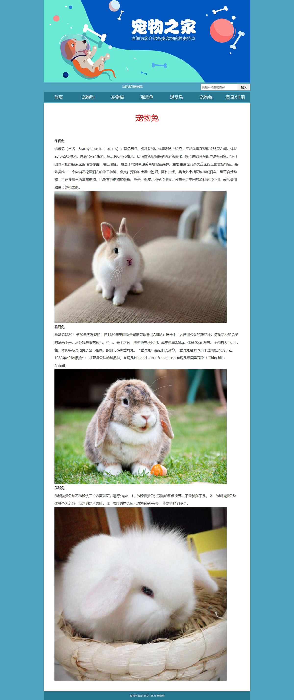 没有更多了哦