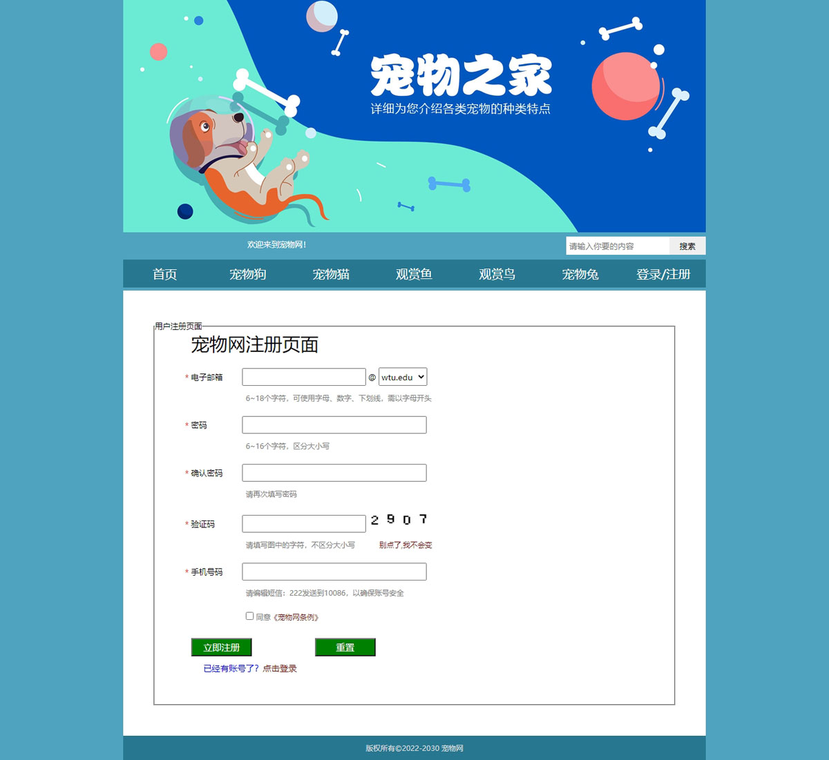 没有更多了哦