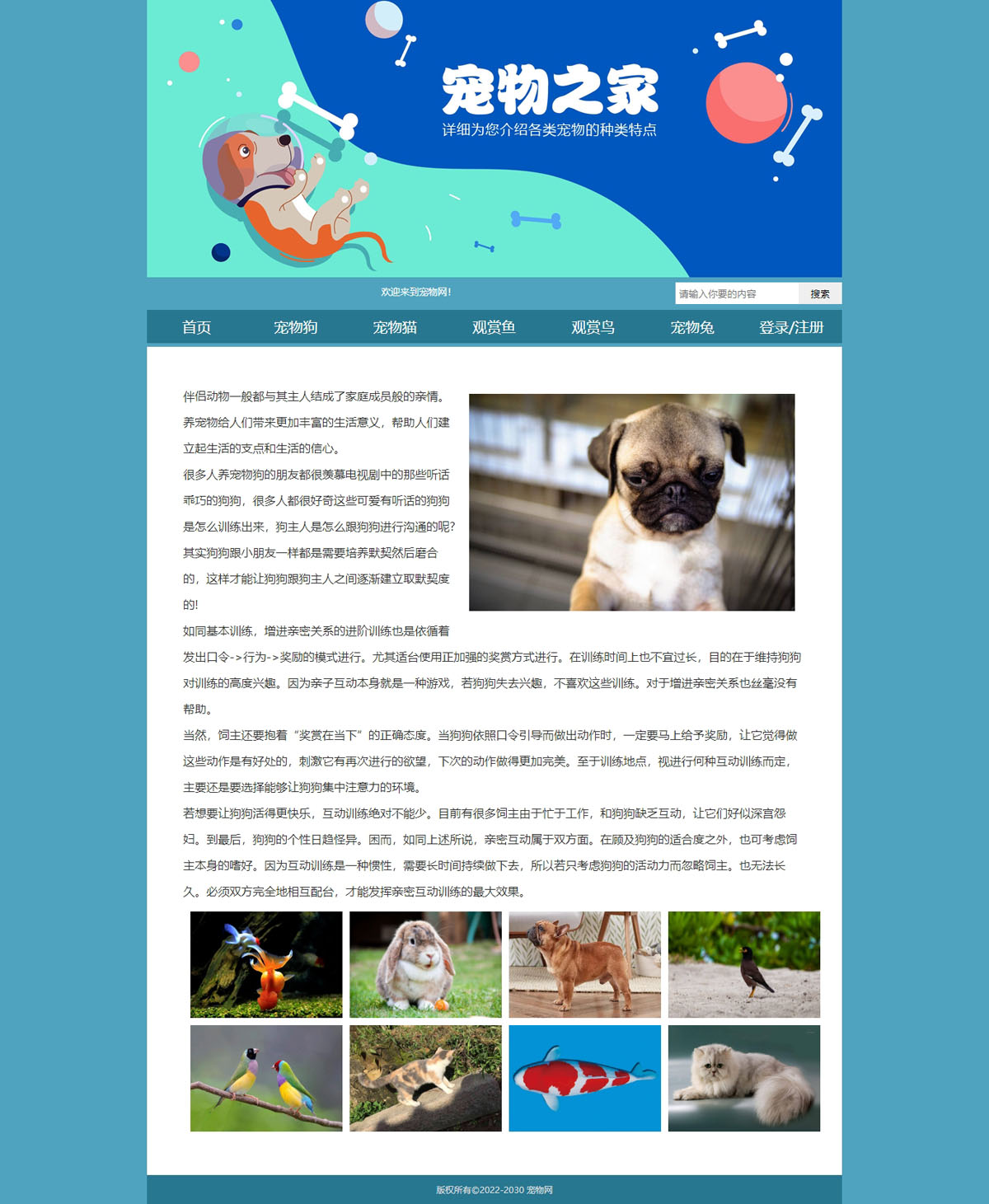 没有更多了哦