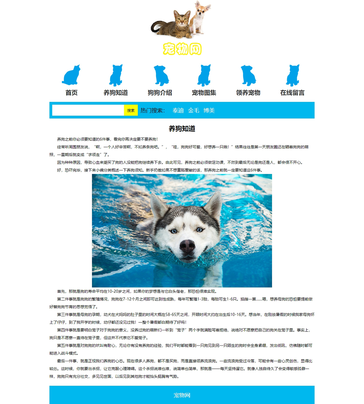 没有更多了哦