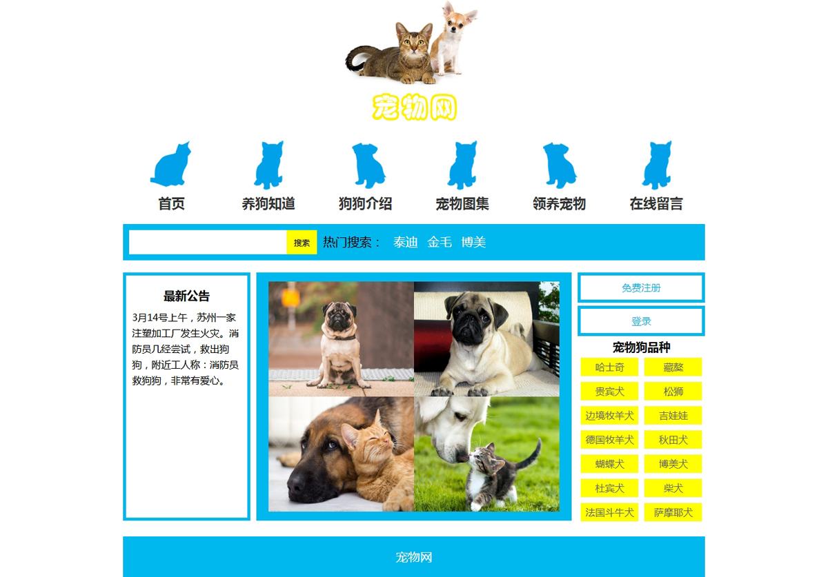没有更多了哦