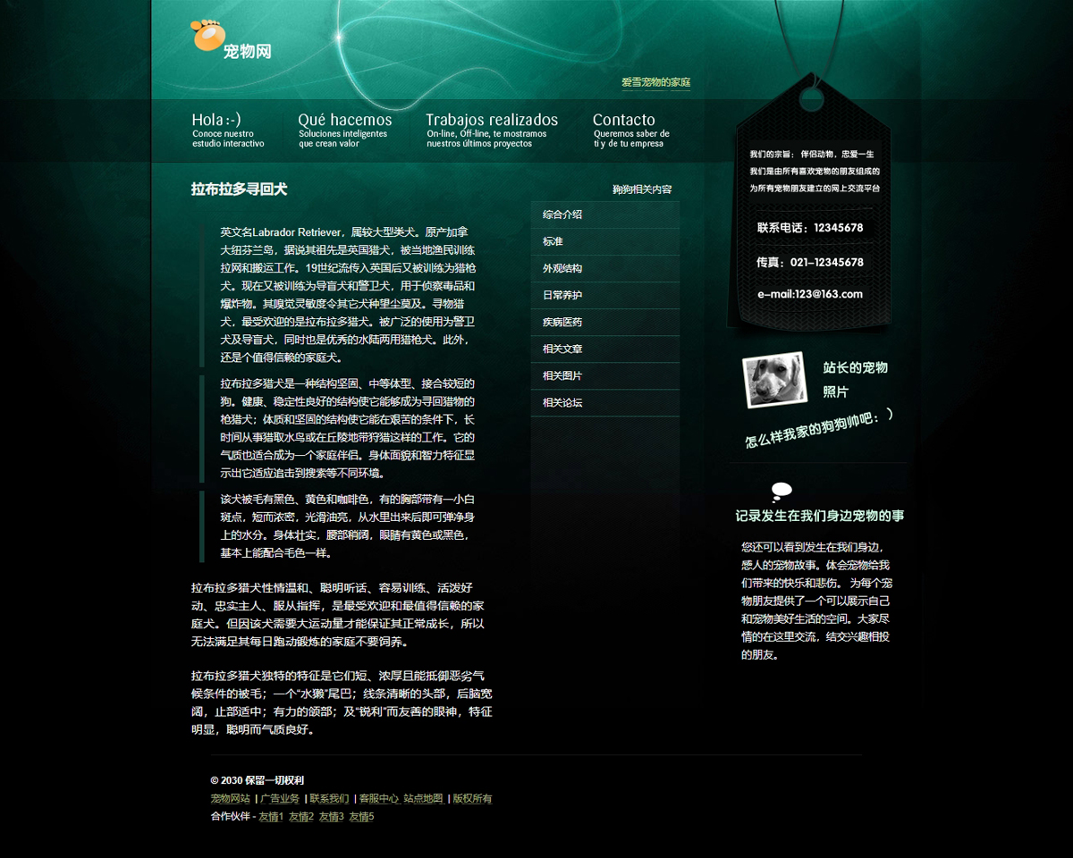 没有更多了哦