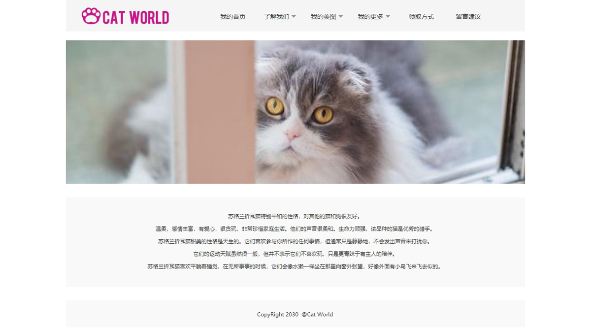 没有更多了哦
