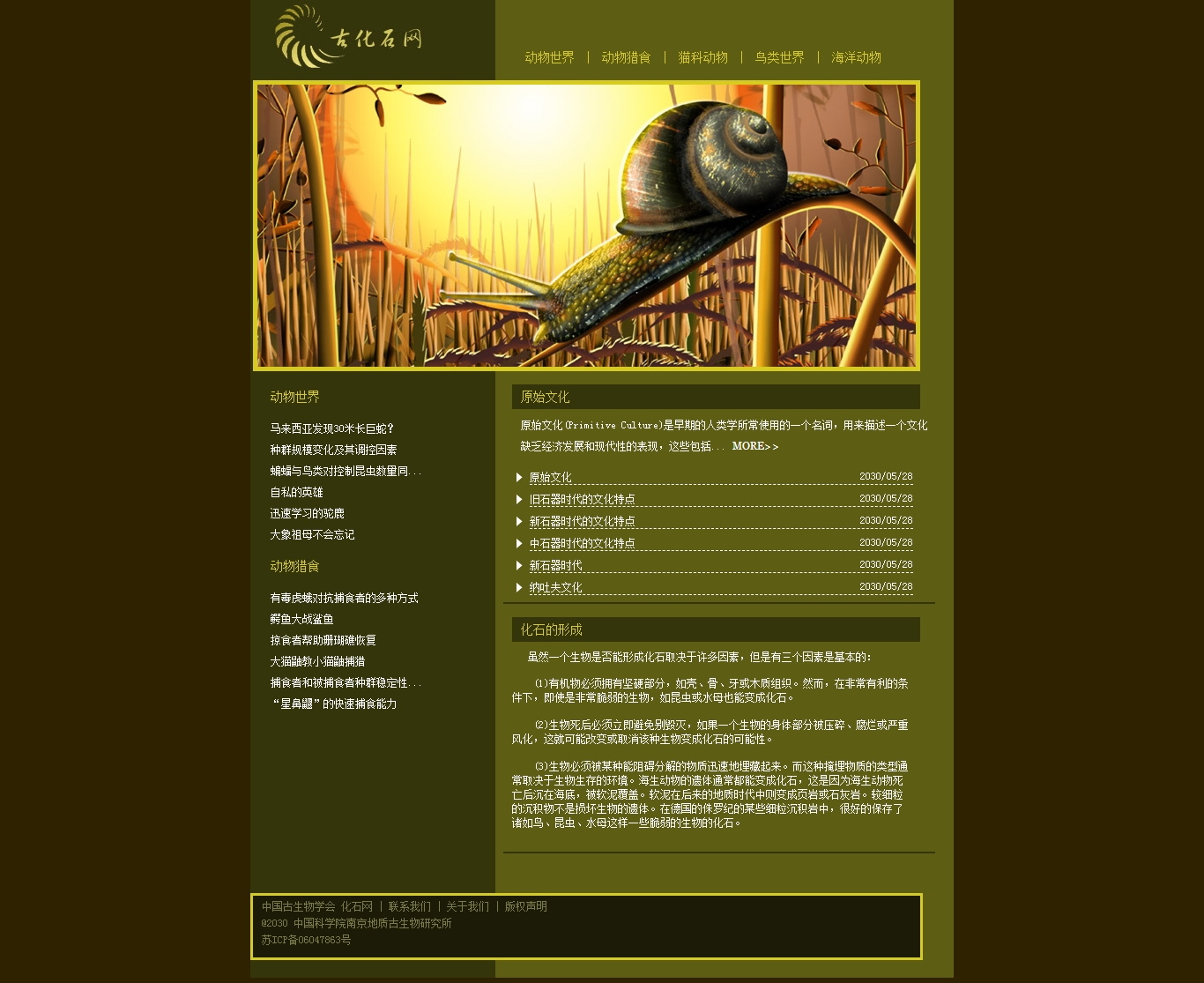 没有更多了哦