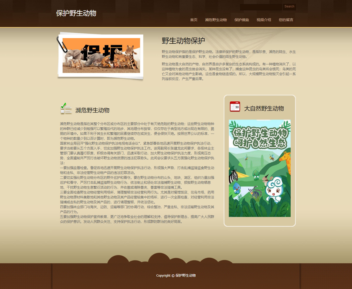 没有更多了哦