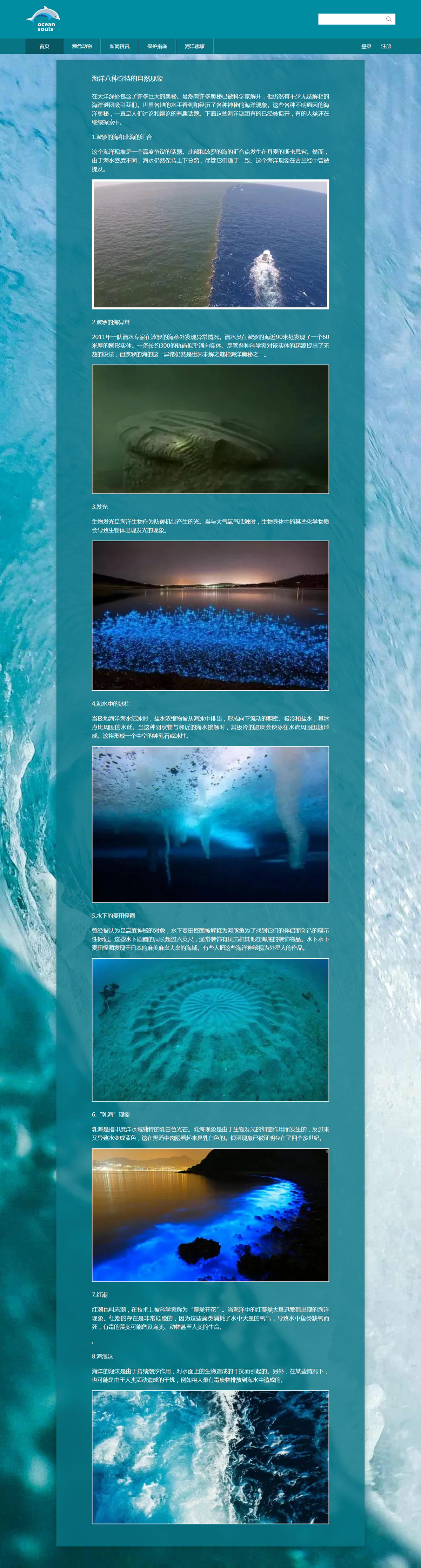 没有更多了哦