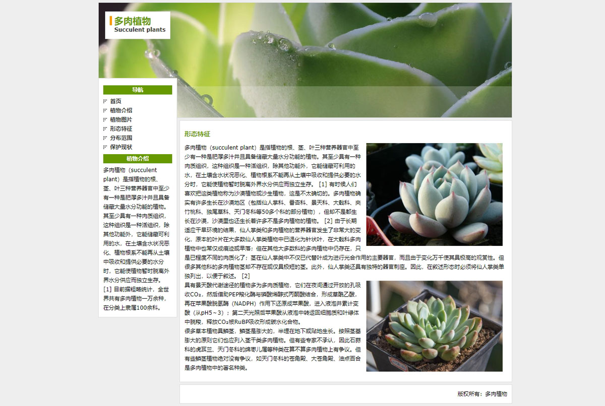 没有更多了哦