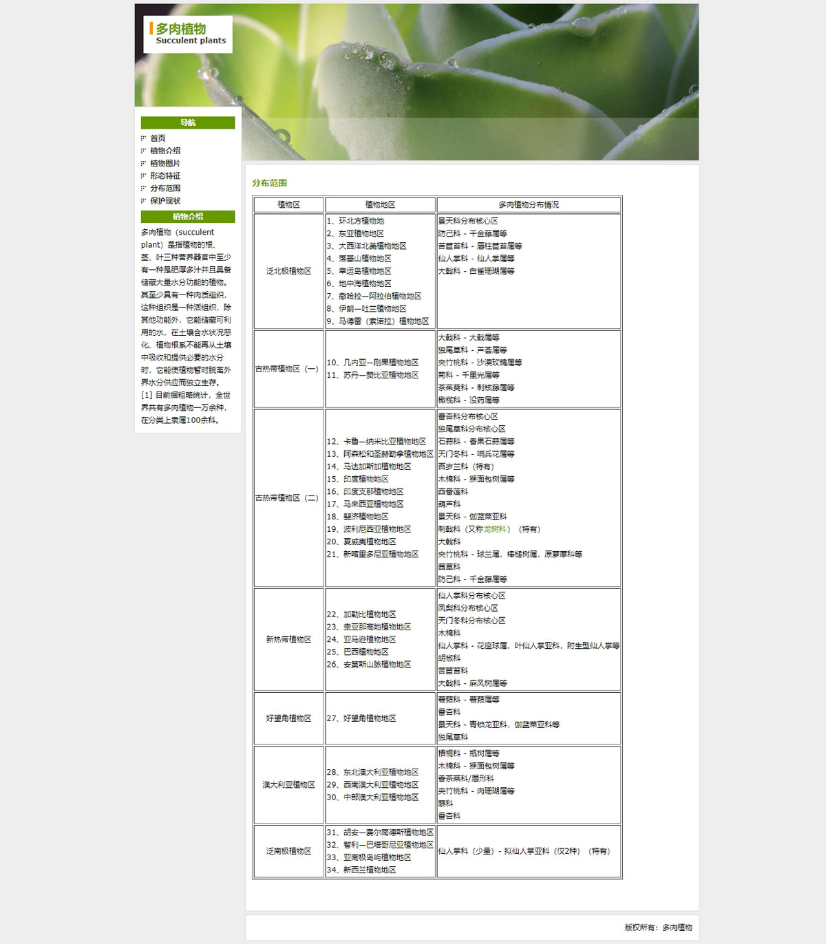 没有更多了哦