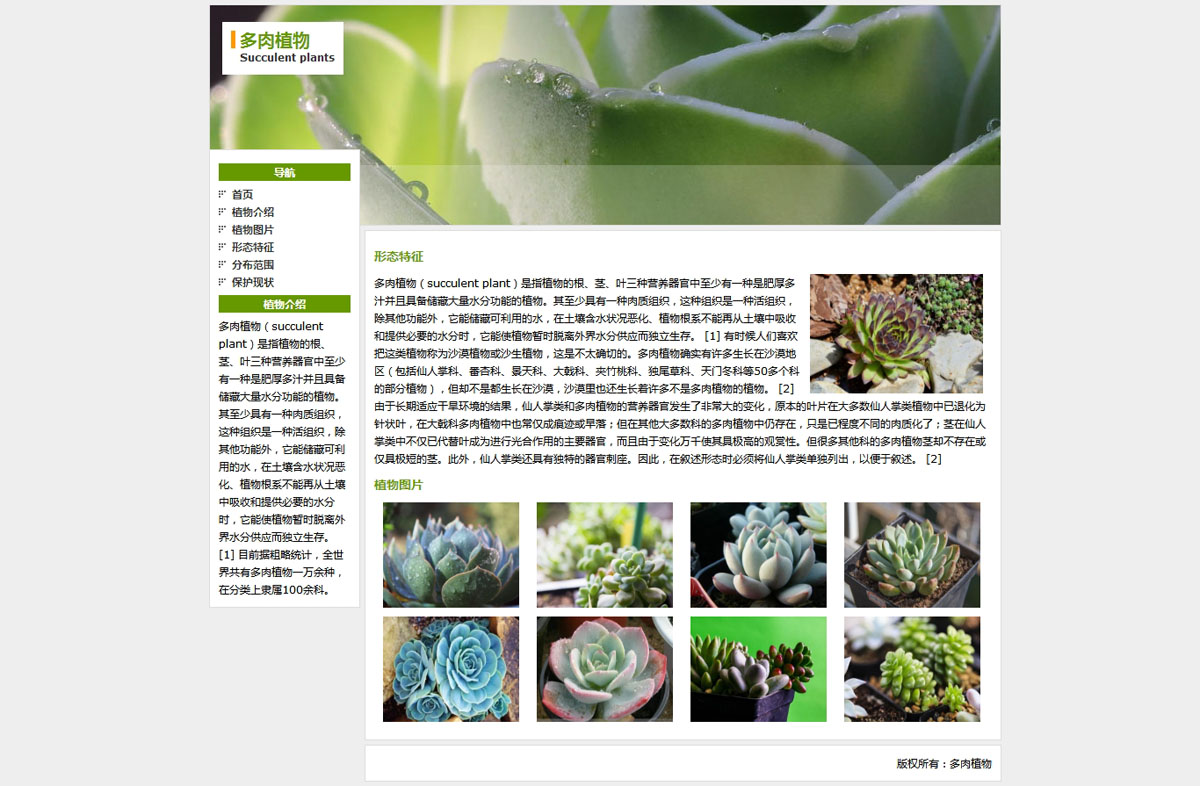 没有更多了哦