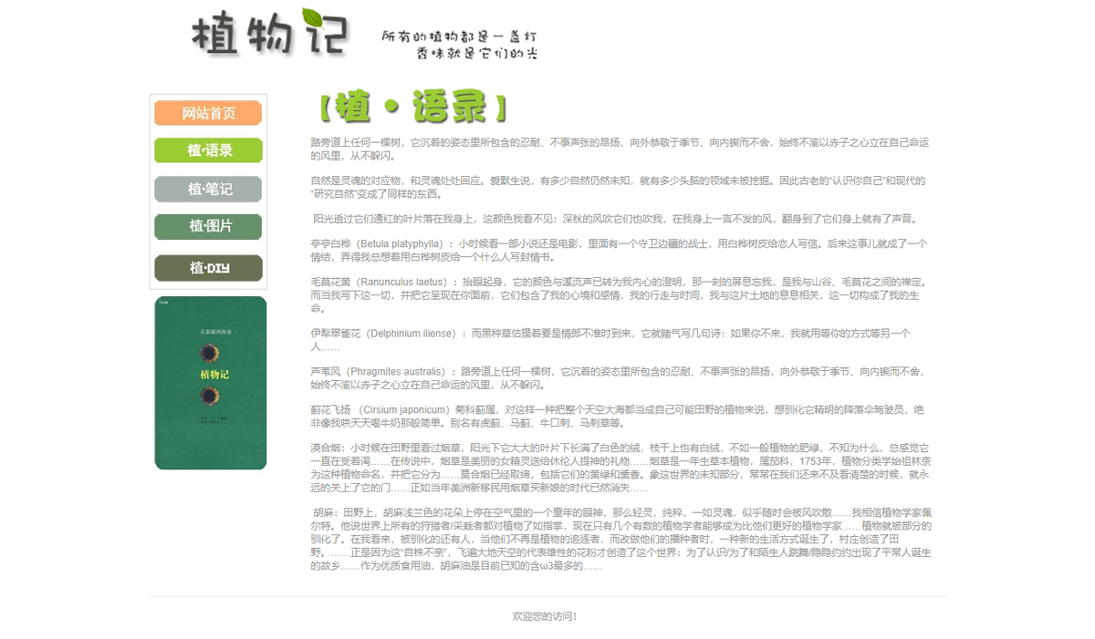 没有更多了哦