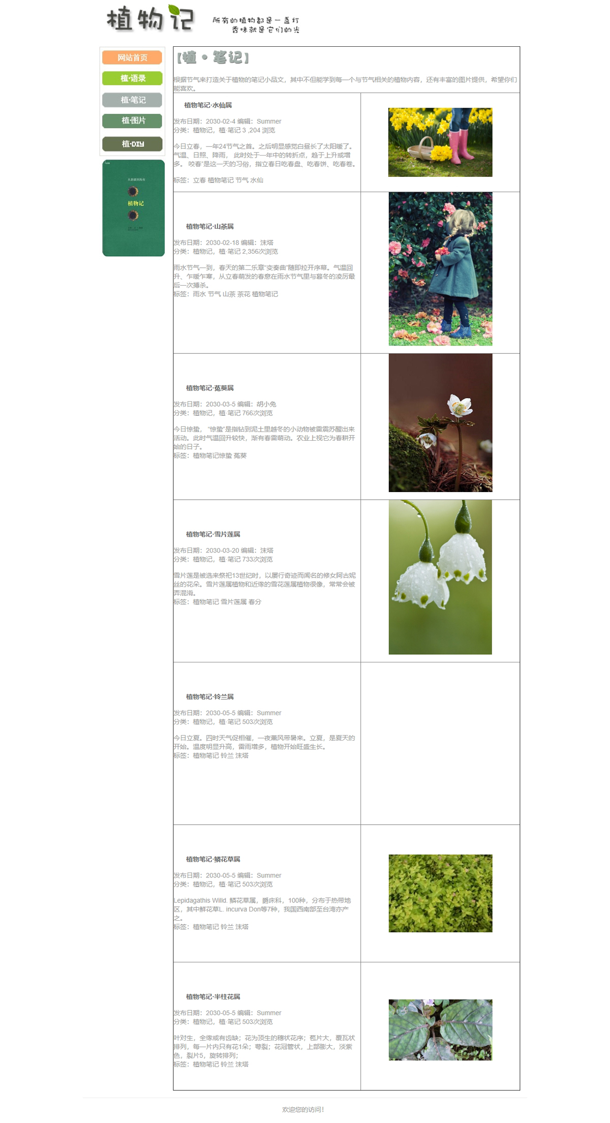没有更多了哦