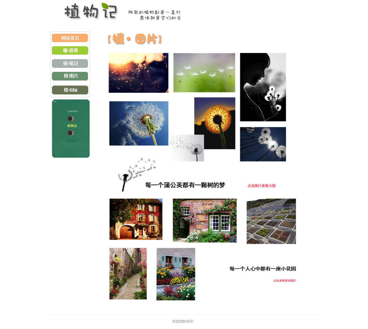 没有更多了哦