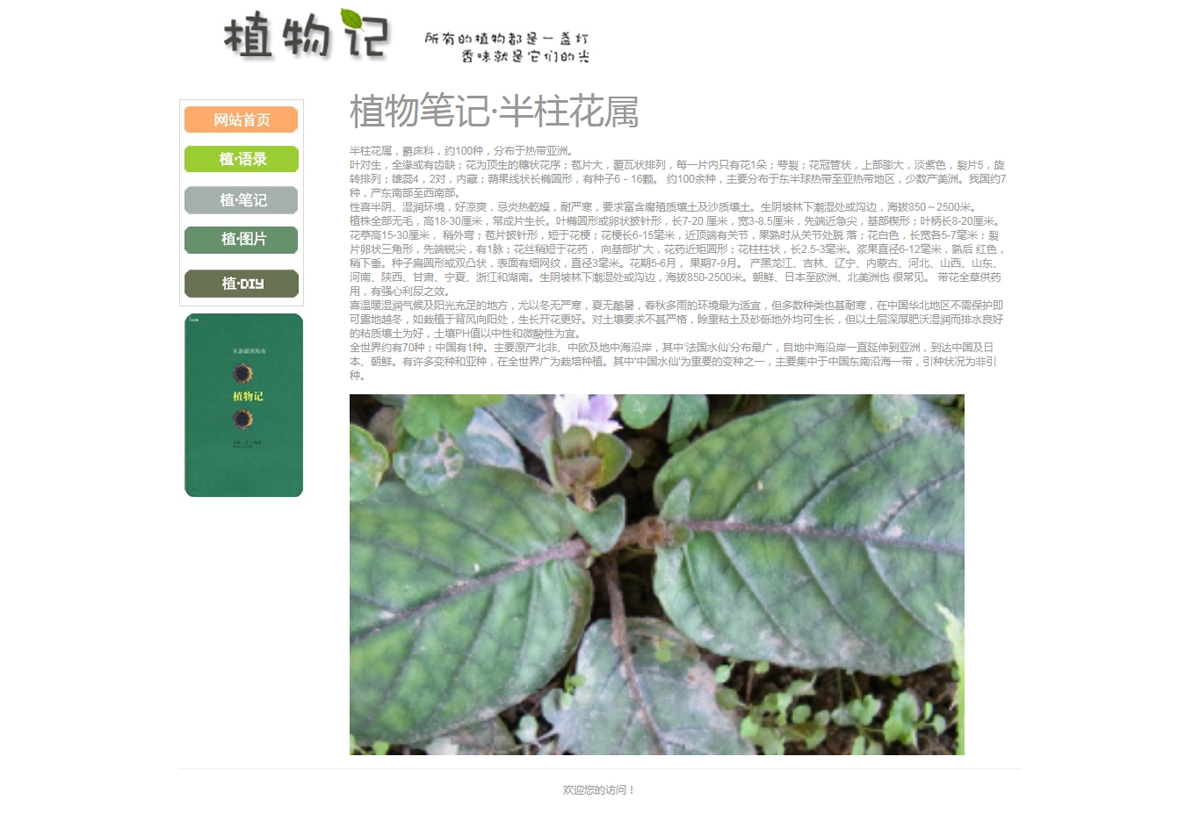 没有更多了哦
