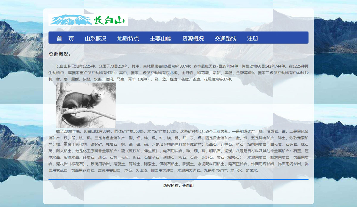 没有更多了哦