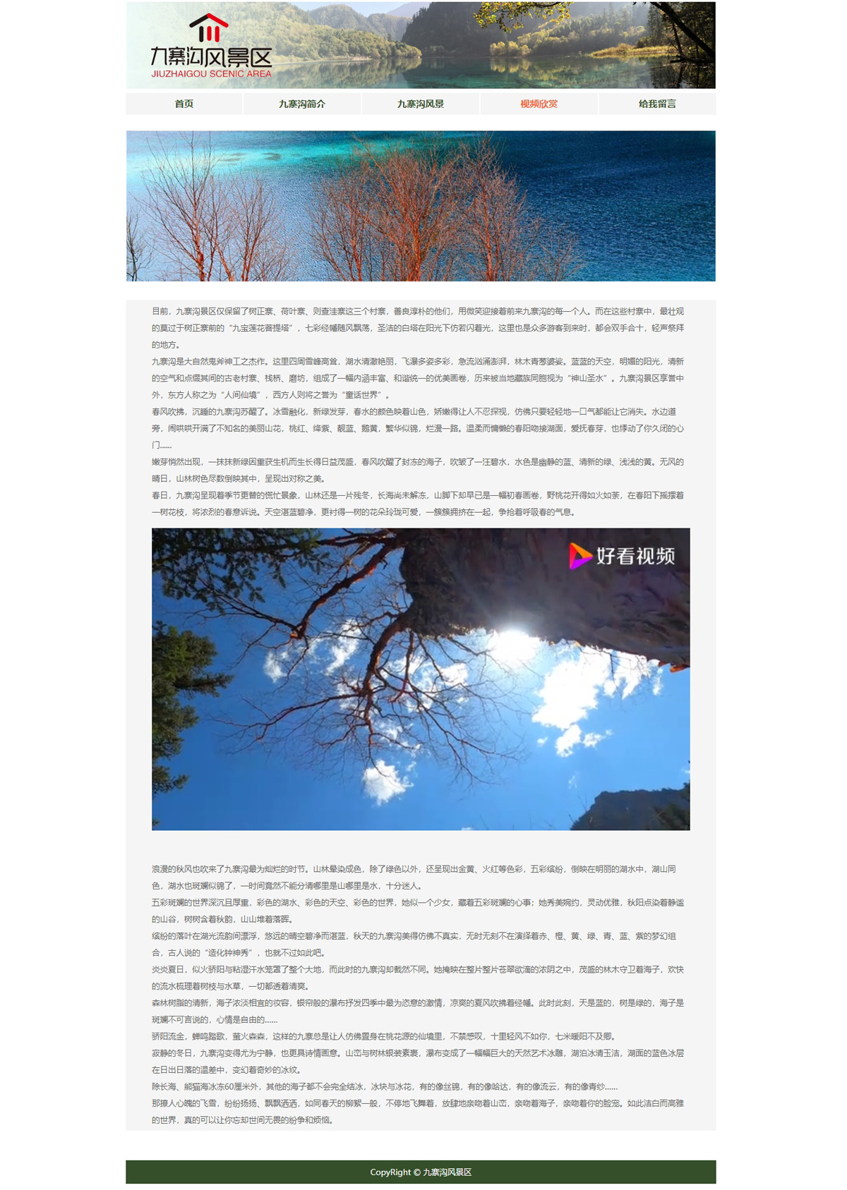 没有更多了哦