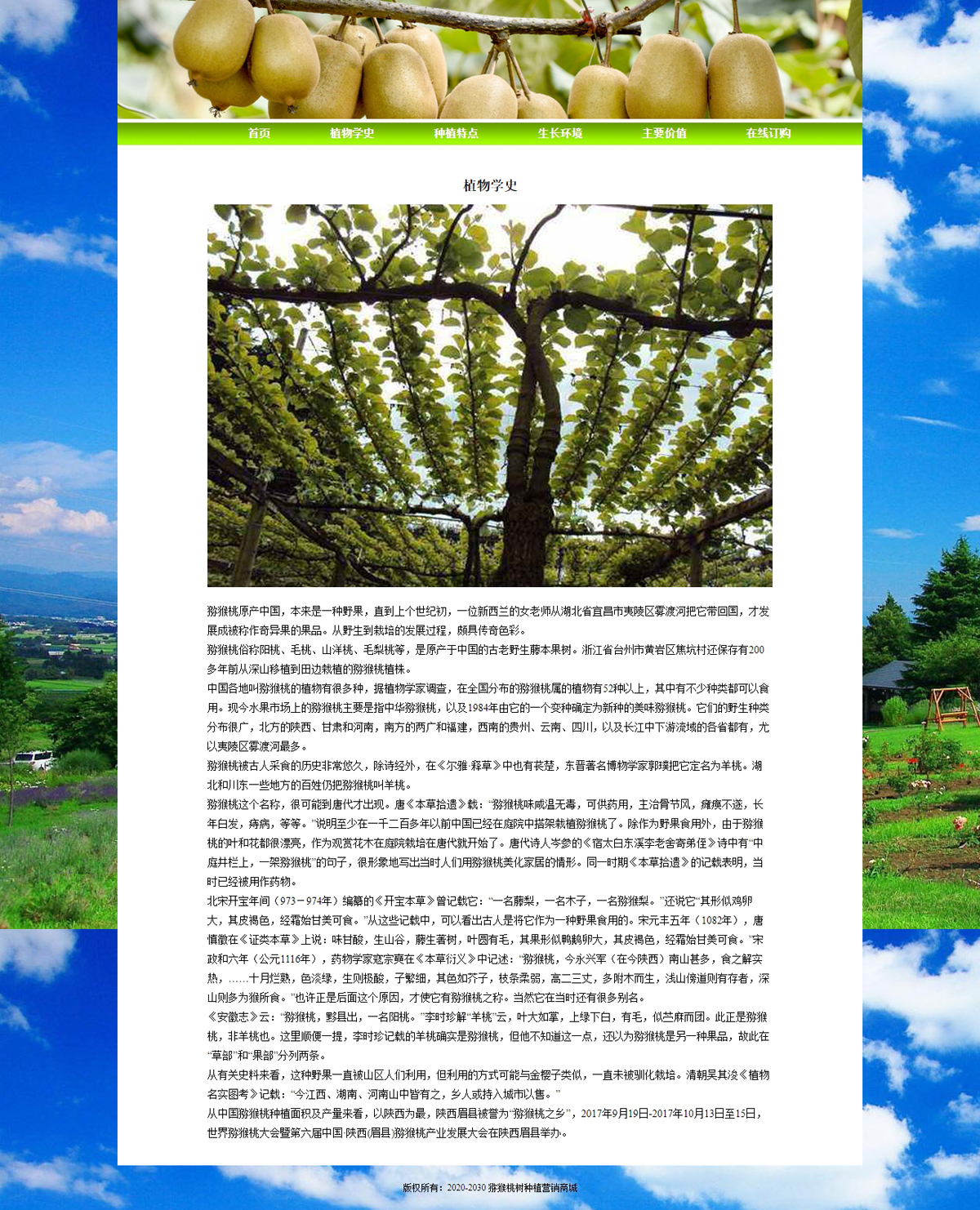 没有更多了哦
