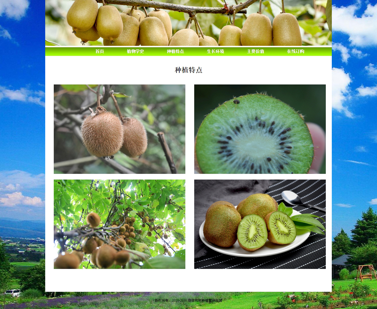 没有更多了哦