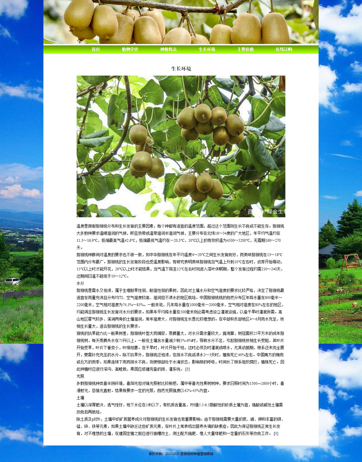 没有更多了哦