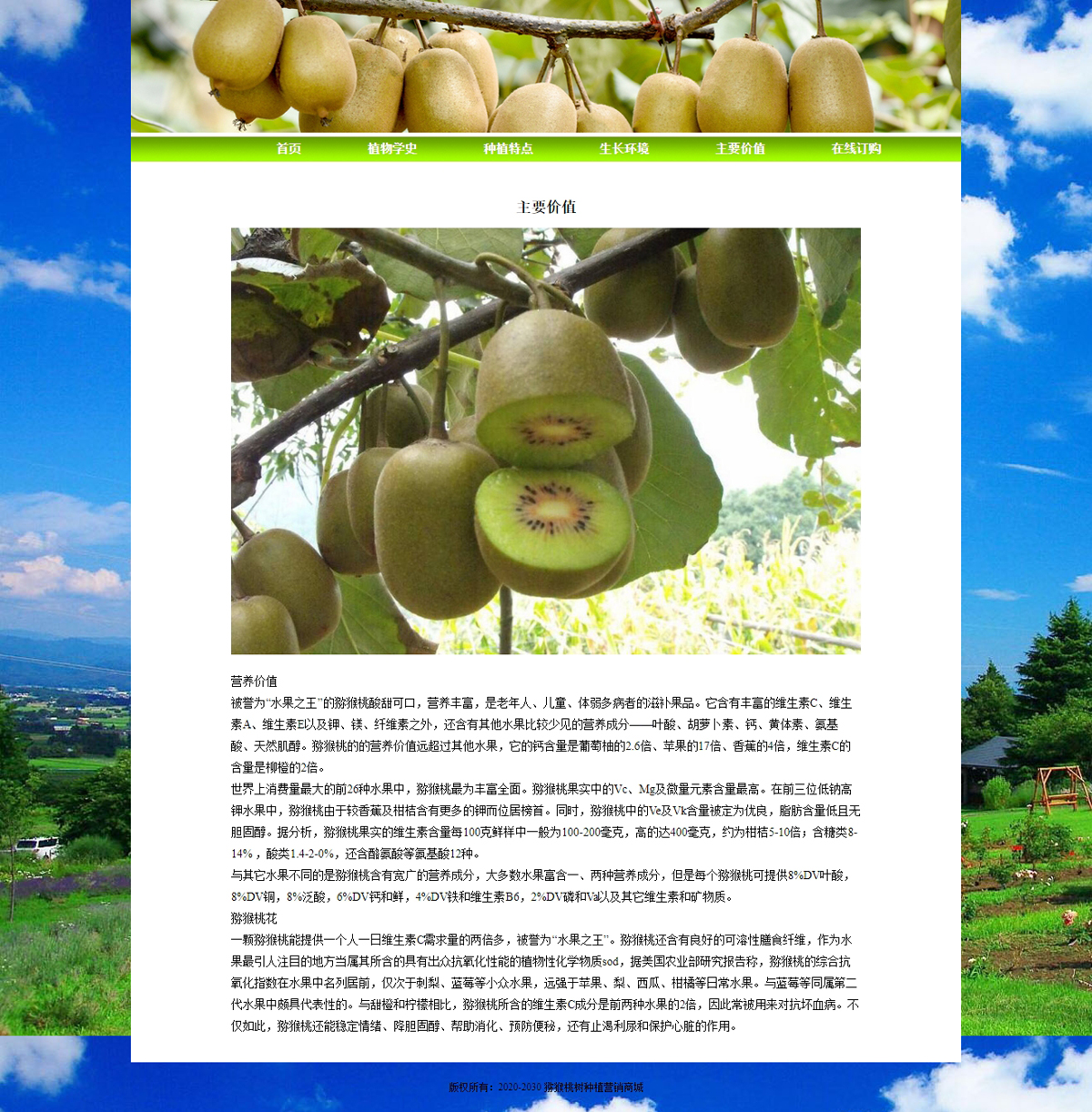 没有更多了哦