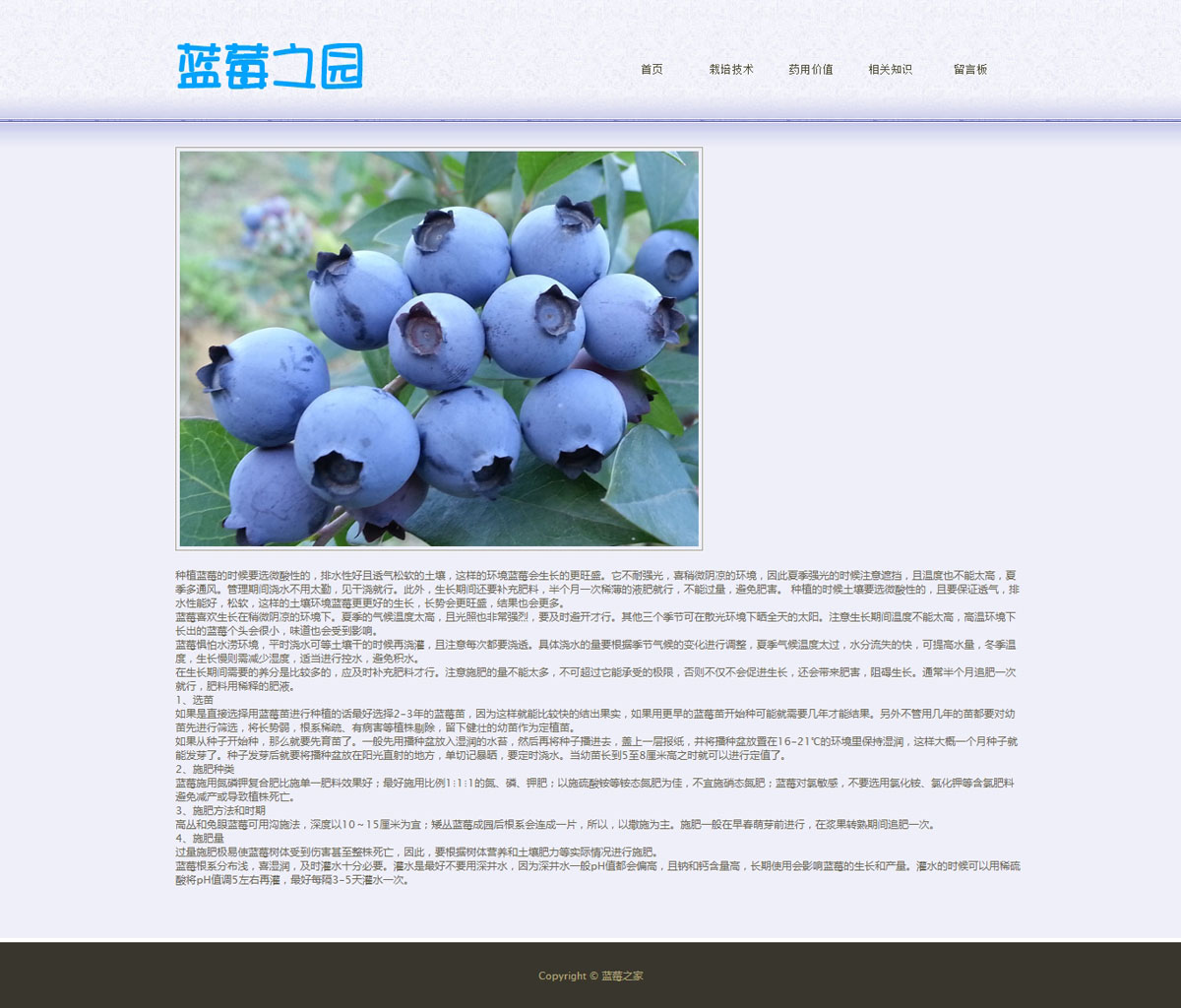 没有更多了哦