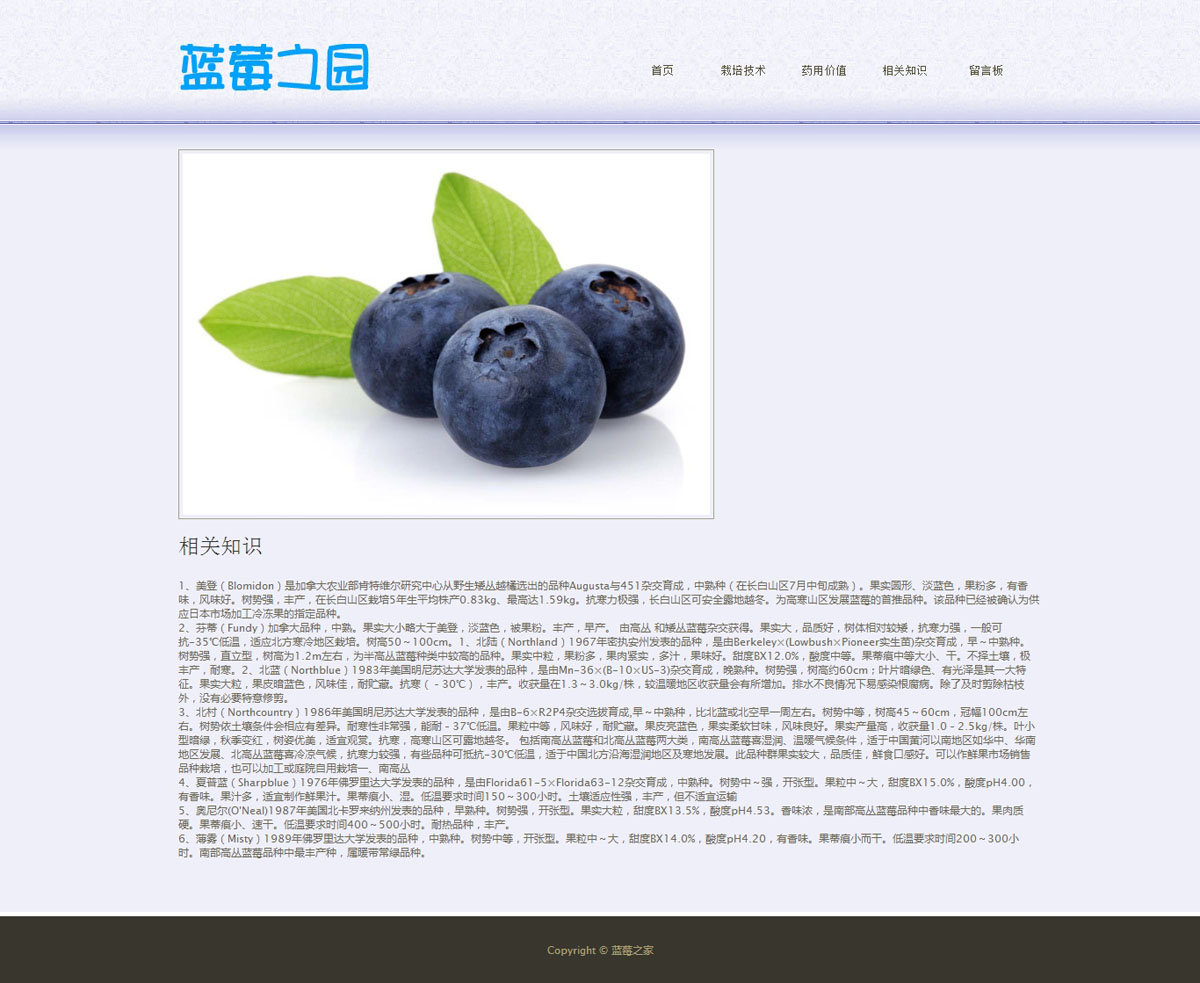 没有更多了哦