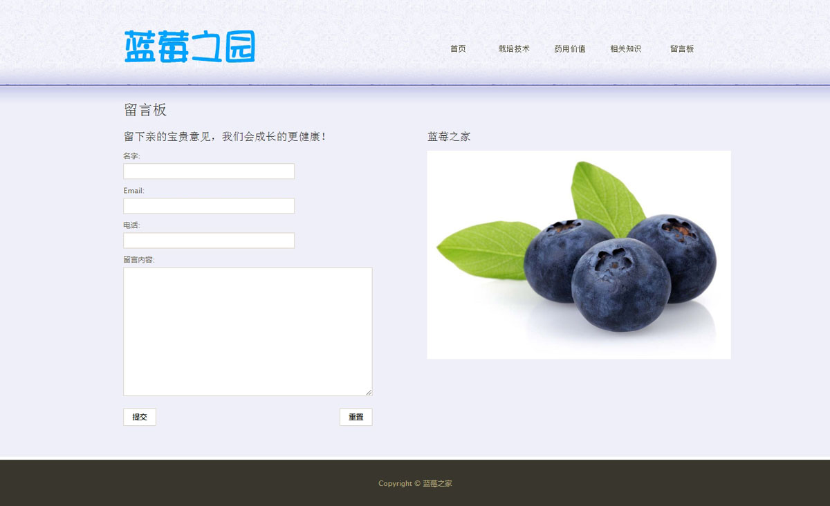 没有更多了哦