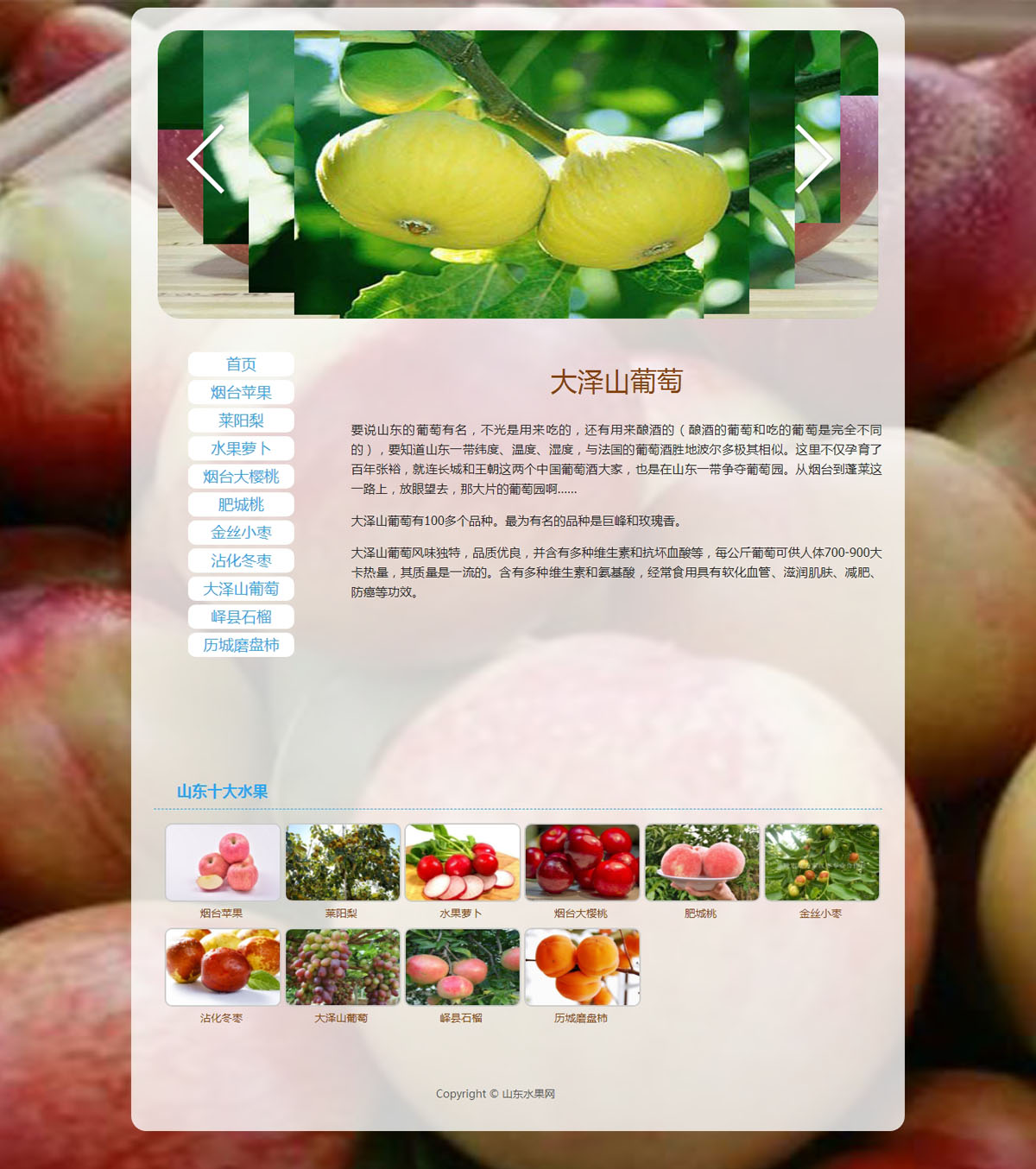 没有更多了哦