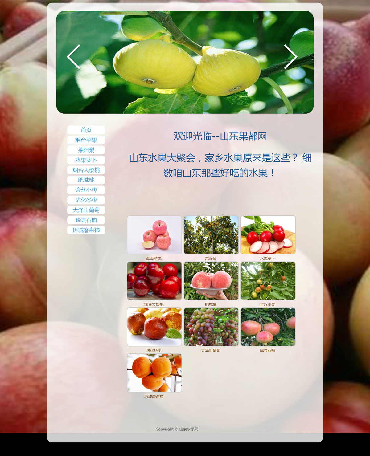 没有更多了哦