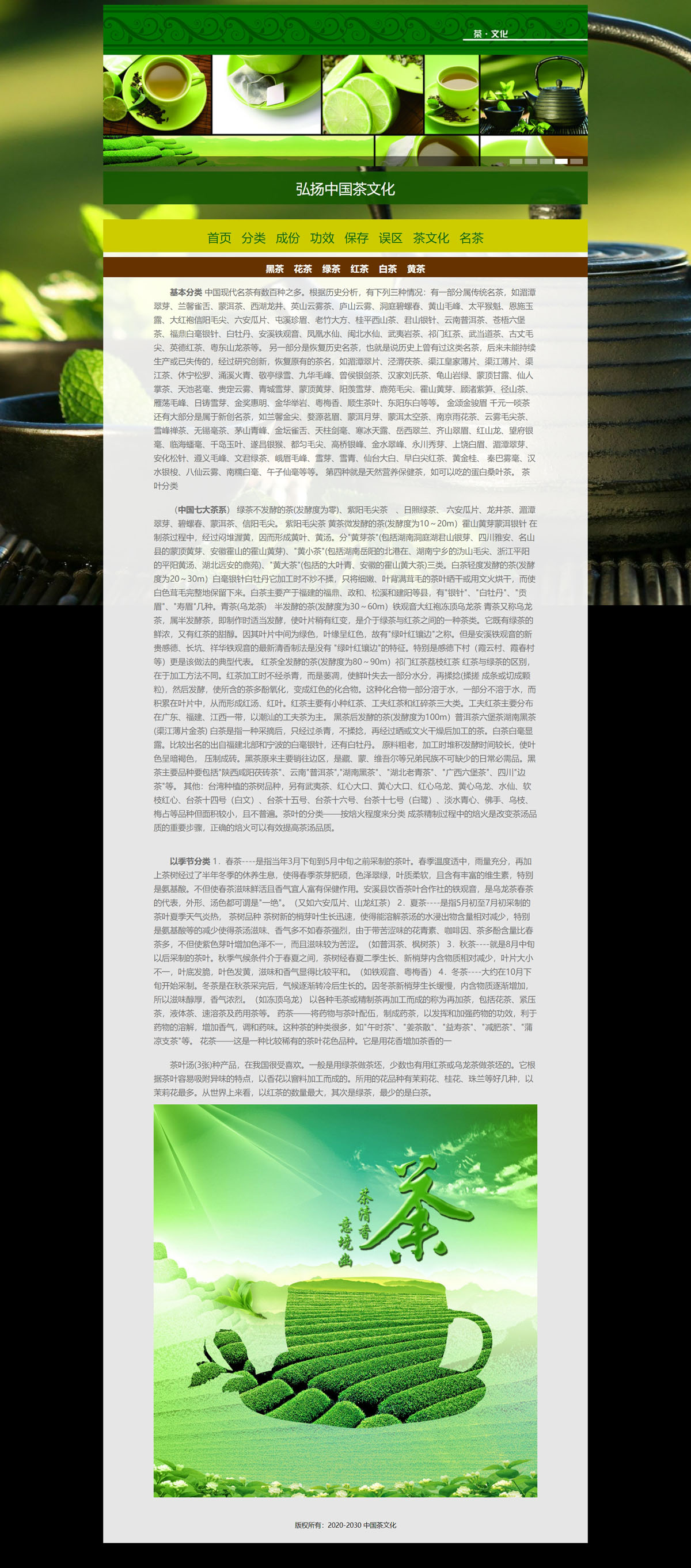 没有更多了哦