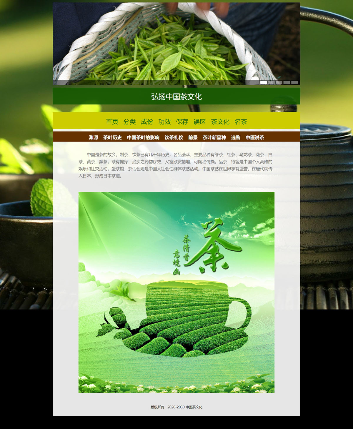 没有更多了哦