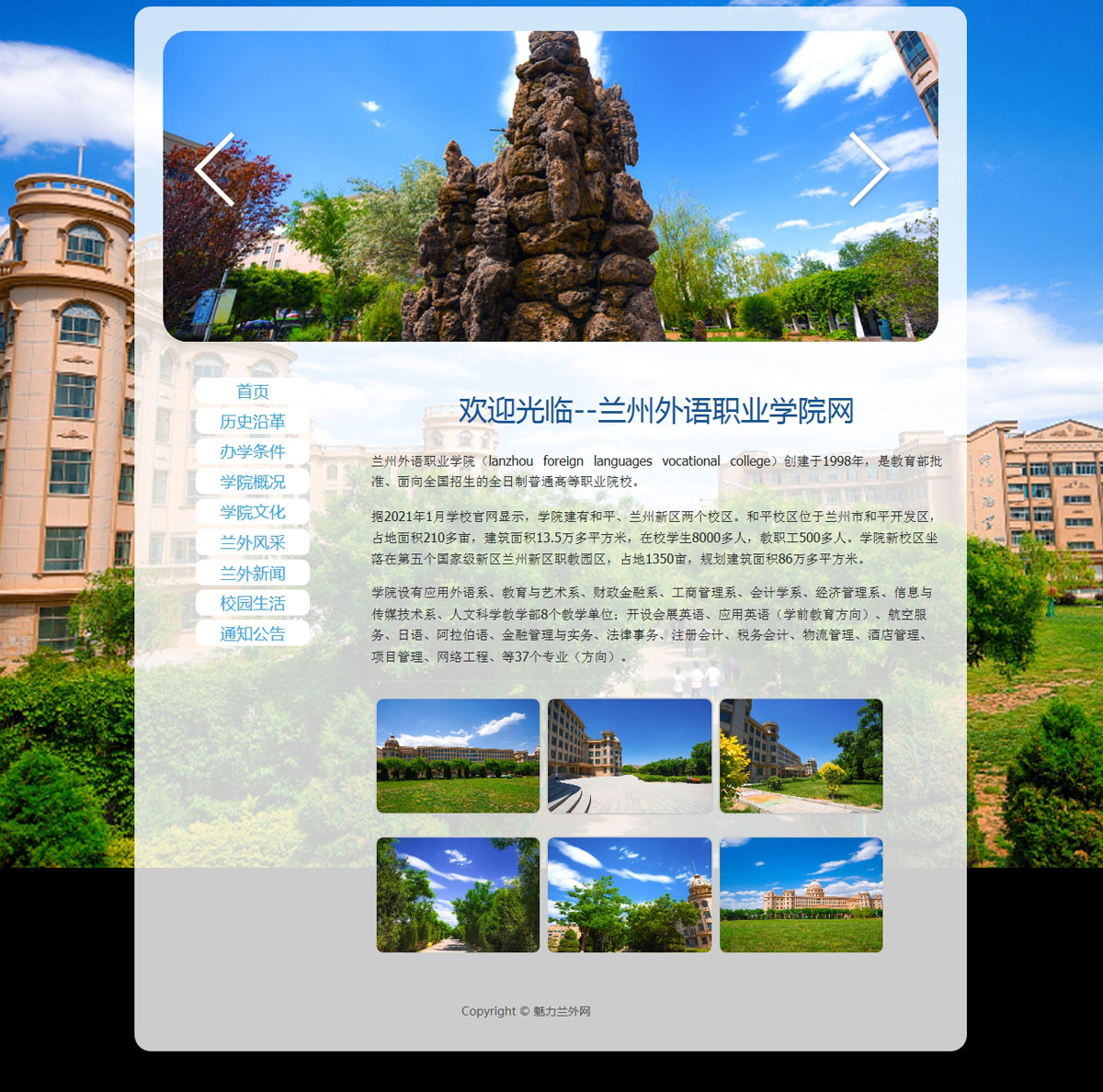 没有更多了哦